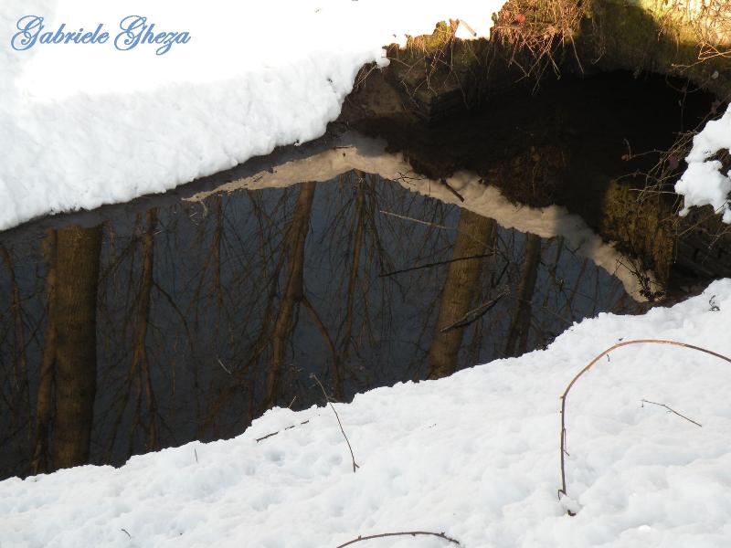 Omaggio all''Inverno che se ne va...